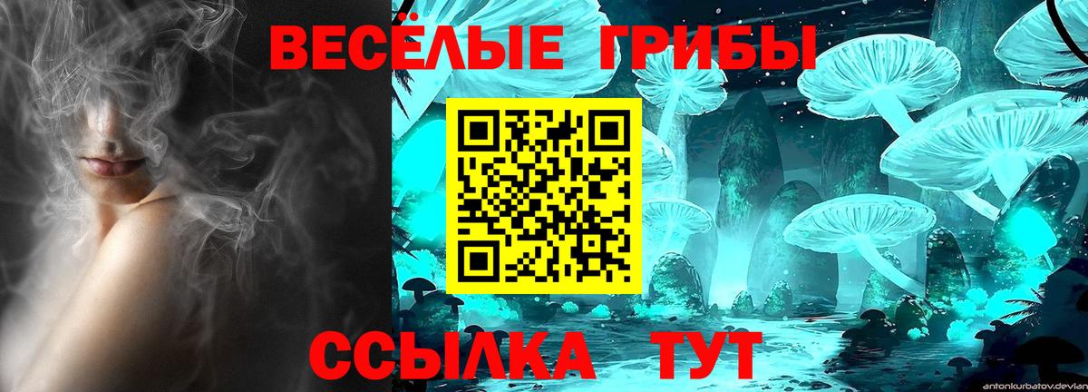 Псилоцибиновые грибы прущие грибы Алексеевка