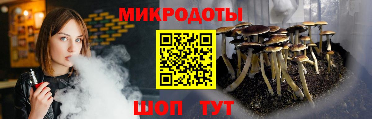 Галлюциногенные грибы Psilocybe  Вход с VPN  где купить   Алексеевка 